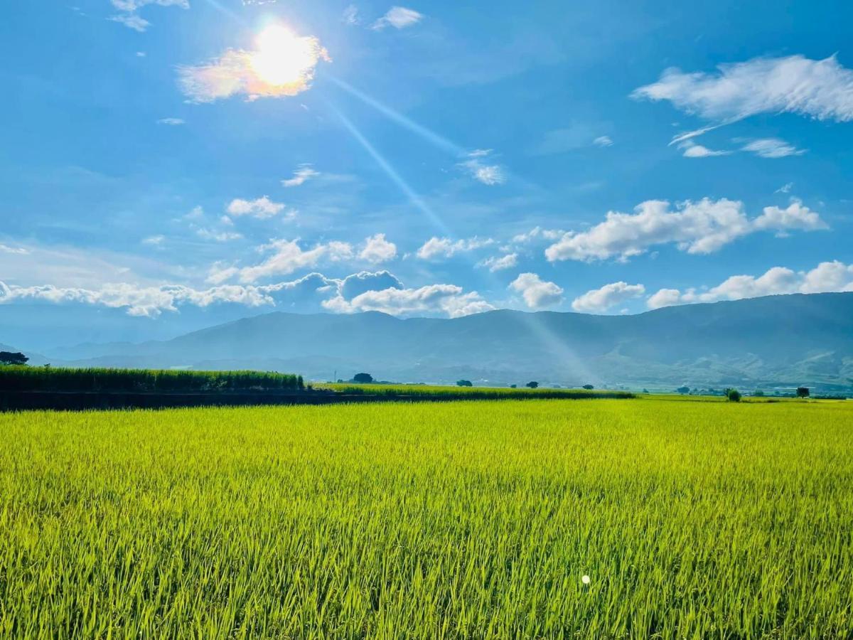 關山稻香田園民宿 Haiduan Extérieur photo